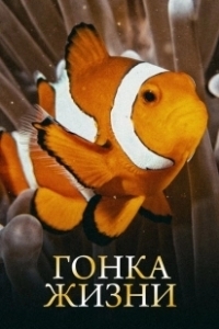 Постер Гонка жизни (Race of Life)