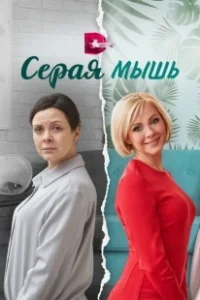 Постер Серая мышь 