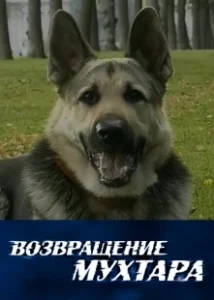 Постер Возвращение Мухтара (Возвращение Мухтара)