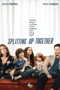 Постер Разделенные вместе (Splitting Up Together)