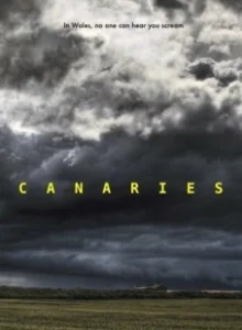 Постер Канарейки (Canaries)