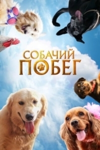 Постер Собачий побег (Valatty)