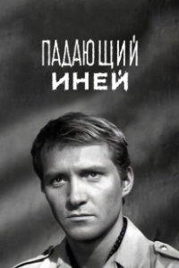 Постер Падающий иней 