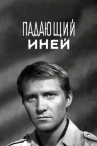 Постер Падающий иней