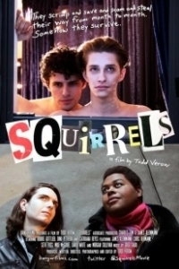 Постер Белки (Squirrels)