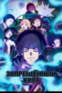 Постер Запрещенный Крот (Dekin no Mogura)