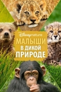 Постер Малыши в дикой природе (Growing Up Wild)