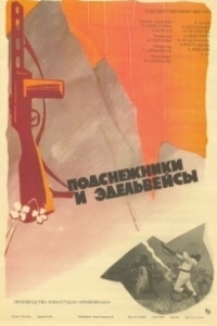 Постер Подснежники и эдельвейсы 