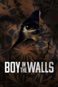 Постер Незнакомец за стенами (Boy in the Walls)