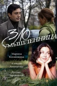 Постер Злоумышленница 