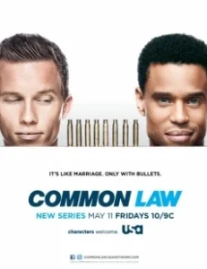 Постер Общее дело (Common Law)