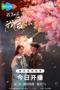 Постер Я знаю, что люблю тебя (Wo zhi dao wo ai ni)