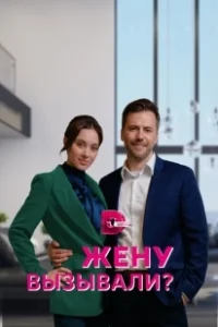 Постер Жену вызывали? 