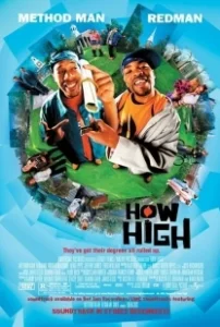Постер Торчки (How High)