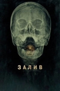 Постер Залив (The Bay)