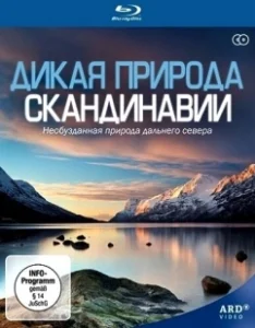 Постер Дикая природа Скандинавии (Wildes Skandinavien)