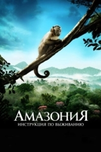 Постер Амазония: Инструкция по выживанию (Amazonia)