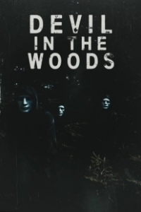 Постер Дьявол в лесу (Devil in the Woods)
