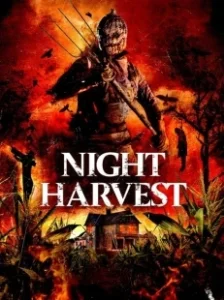 Постер Ночной урожай (Night Harvest)