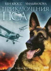 Постер Приключения пса (Finding RinTinTin)