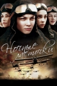 Постер Ночные ласточки (Ночные ласточки)