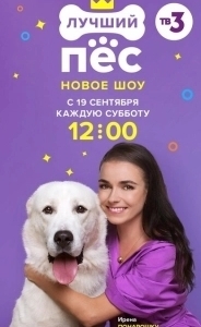 Постер Лучший пёс 