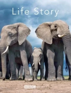 Постер История жизни (Life Story)