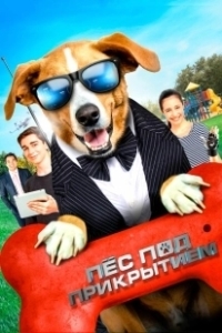 Постер Пес под прикрытием (Agent Toby Barks)