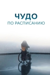 Постер Чудо по расписанию 