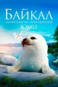 Постер Байкал. Удивительные приключения Юмы (Baikal)