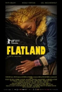 Постер Равнина (Flatland)