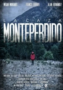Постер Охота. Монте-Пердидо (La caza)