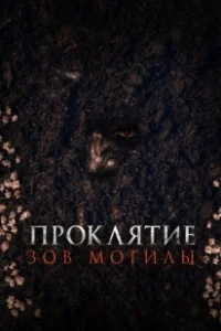 Постер Проклятие «Зов могилы» (Pamyo)