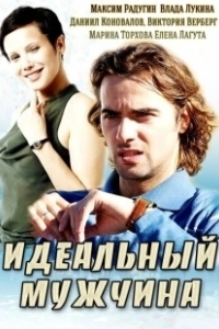 Постер Идеальный мужчина (The Perfect Man)