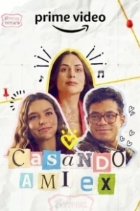 Постер Замуж за бывшего (Casando a mi Ex)
