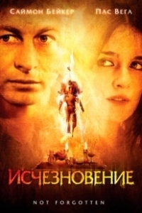 Постер Исчезновение (The Vanishing)