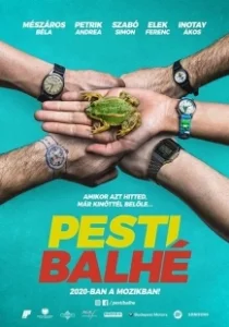 Постер Ограбление в Будапеште (Pesti balhé)