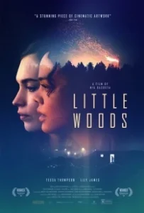 Постер Лесок (Little.Woods)