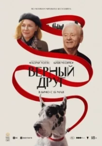 Постер Верный друг (The Friend)