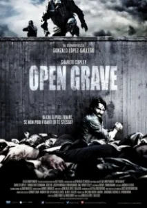 Постер Открытая могила (Open Grave)