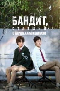 Постер Бандит, ставший старшеклассником (Jopokin naega godeunghaksaengi doeeosseumnida)