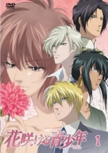 Постер Цветущая юность (Hanasakeru Seishounen)