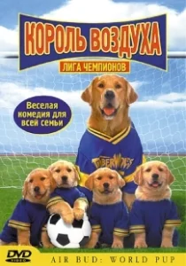 Постер Король воздуха: Лига чемпионов (Air Bud: World Pup)