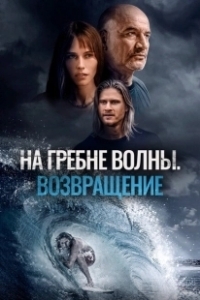 Постер На гребне волны. Возвращение (Sons of Summer)