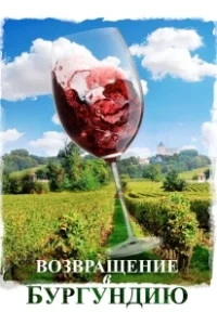 Постер Возвращение в Бургундию (Ce qui nous lie)