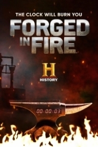 Постер Между молотом и наковальней (Forged in Fire)