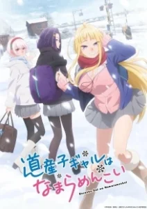 Постер Девчонки с Хоккайдо чудо как милы (Dosanko gal wa namara menkoi)
