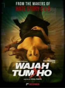 Постер Ты всему причина (Wajah Tum Ho)