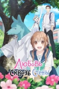 Постер Любовь сквозь стены (Kimi to Koete Koi ni Naru)