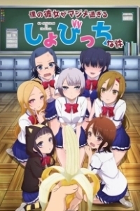 Постер Моя девушка — убеждённая извращенка-девственница (Boku no Kanojo ga Majimesugiru Sho-bitch na Ken)